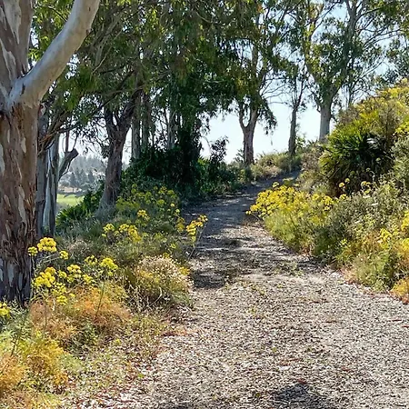 Stunning In Lagunas De Mijas Fuengirola