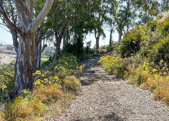 Stunning In Lagunas De Mijas Fuengirola